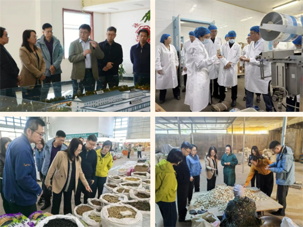 ScreenShot_2025-10-30_102048_191.jpg ScreenShot_2025-10-30_102048_191.jpg