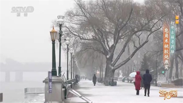 西苑科普 | 打开古籍寻药膳——皂米桃胶炖燕窝